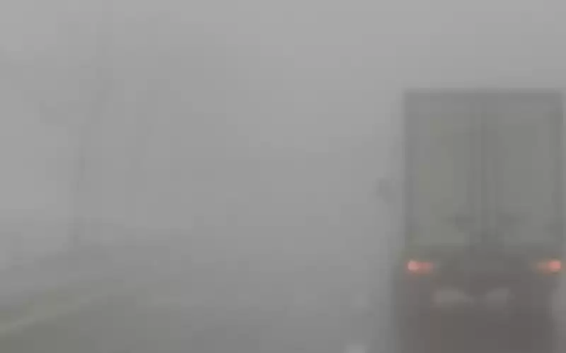 أمطار وضباب.. إليكم تفاصيل الحالة الجوية