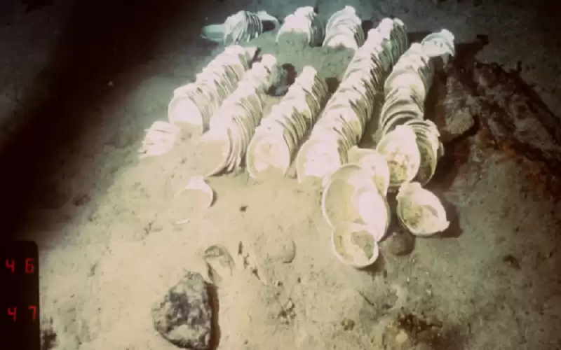 بعد 20 عاما من الغموض ..