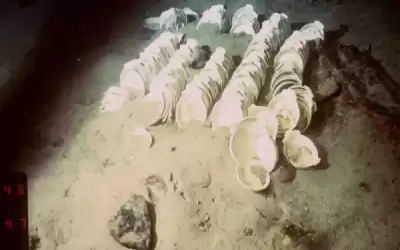 بعد 20 عاما من الغموض ..