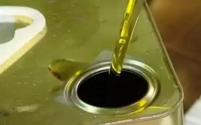 من الحكومة.. بيع زيت الزيتون للموظفين