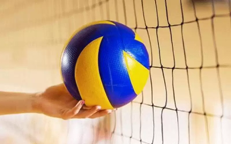 المنتخب الوطني لطائرة السيدات في المجموعة