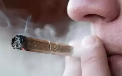 داعية مصري: صلاة مدخن الحشيش صحيحة