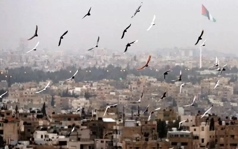 أجواء لطيفة في معظم المناطق