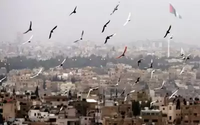 أجواء لطيفة في معظم المناطق