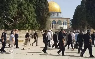 مستوطنون متطرفون يقتحمون الاقصى