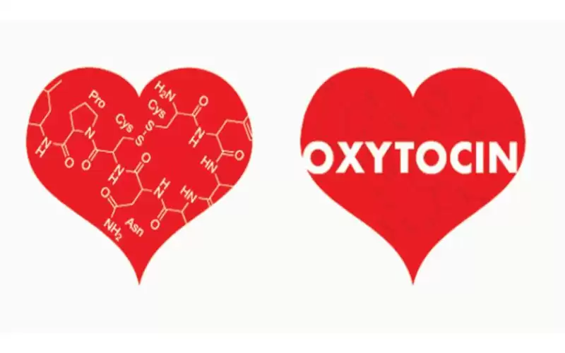 هرمون الحب.. . هل يشفي القلب