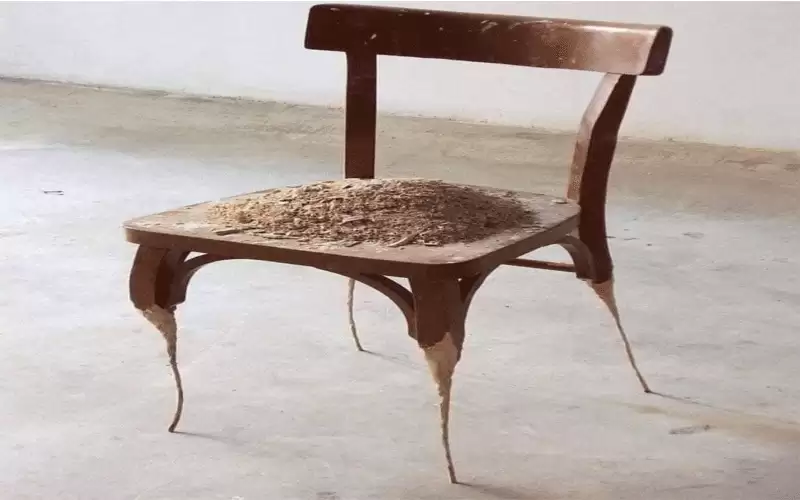 اكتب تعليقا على الصورة واربح حزبا