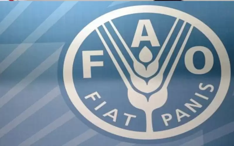 الفاو: استقرار مؤشر أسعار الغذاء في