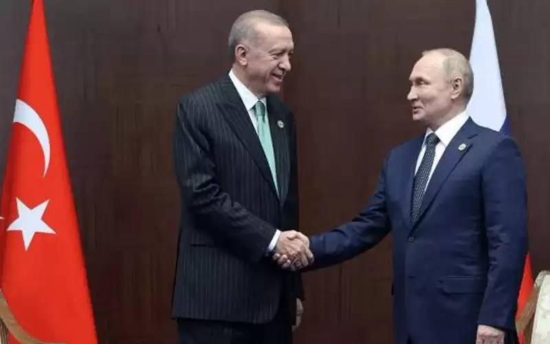 أردوغان: بوتين عرض إرسال الحبوب مجانا