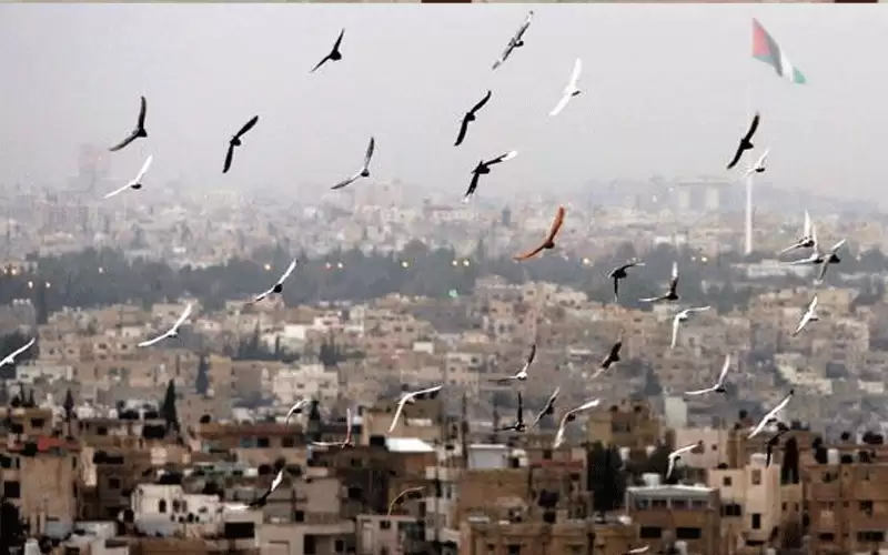 أجواء معتدلة نهارا وباردة ليلا