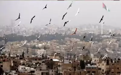 أجواء معتدلة نهارا وباردة ليلا