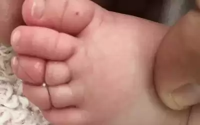 الأردن.. شعرة من رأس أم كادت