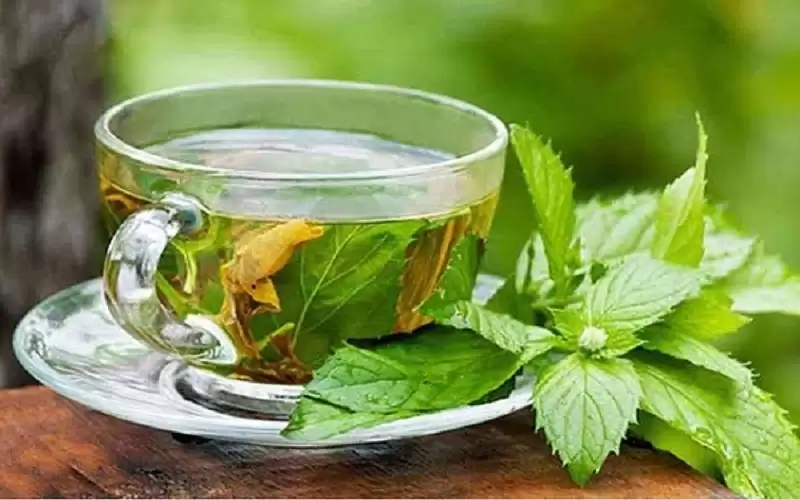 دراسة حديثة .. الشاي الأخضر يحميك