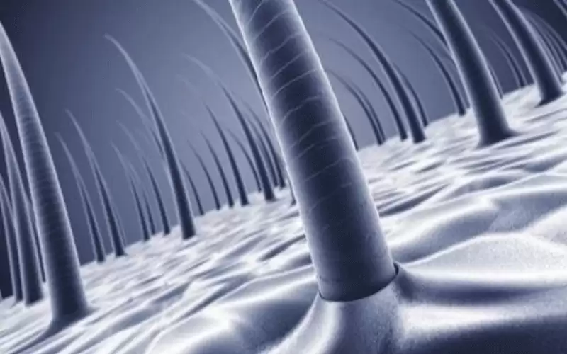 طرق إنبات الشعر في مقدمة الرأس