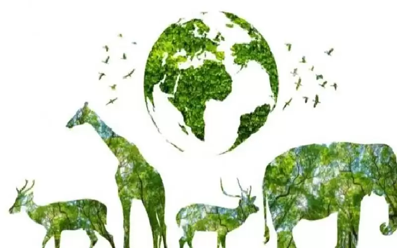 هل يبقى البشر أحياء إذا انقرضت