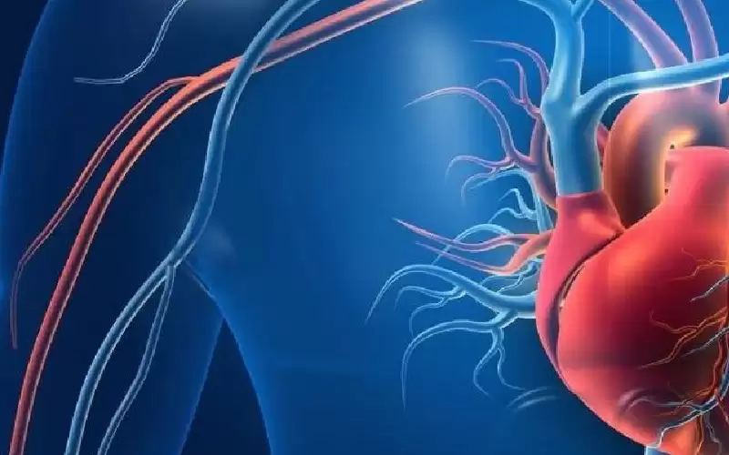 أمراض القلب عند النساء.. احذري 5