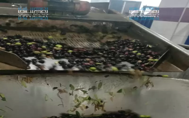 مادبا شكاوى من تلاعب بكمية الزيت..