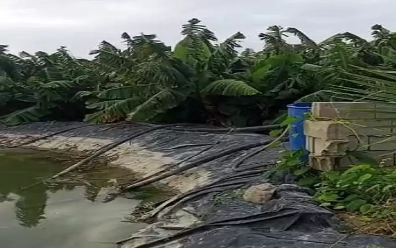 ضبط اعتداءات على المياه تزويد مزارع