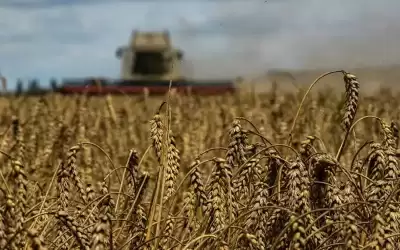 روسيا تربط تمديد اتفاق البحر الأسود