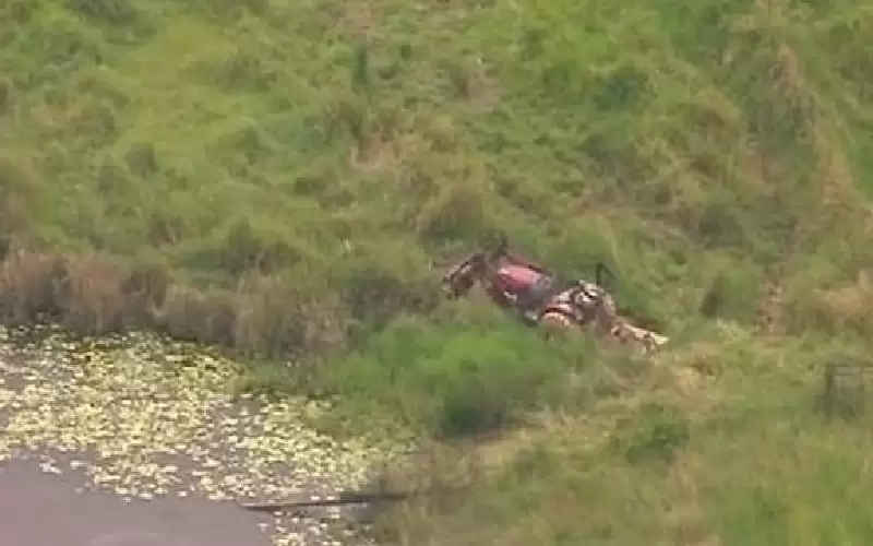 تسعيني ينجو من الموت بأعجوبة بعدما