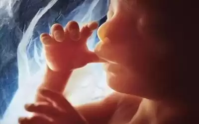 للحوامل.. هذه الأطعمة تحارب الغثيان الصباحي