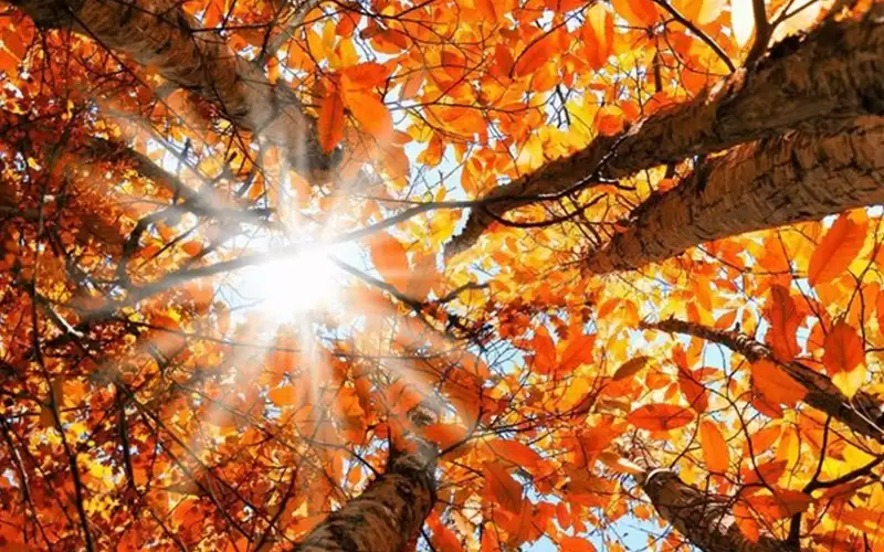 ارتفاع على درجات الحرارة وطقس خريفي