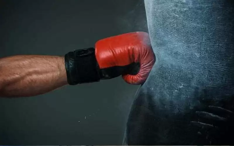 منتخب الملاكمة على موعد مع الميداليات