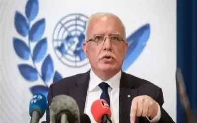 الأمم المتحدة تعتمد طلبا فلسطينيا لاستصدار