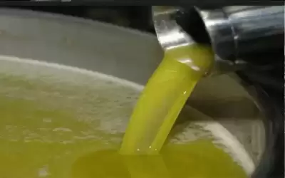 الغذاء والدواء تضبط أحد غشاشي زيت