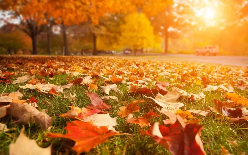 درجات الحرارة حول معدلاتها العامة