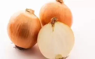 علاج البصل.. اتجاه جديد لتنقية المنزل