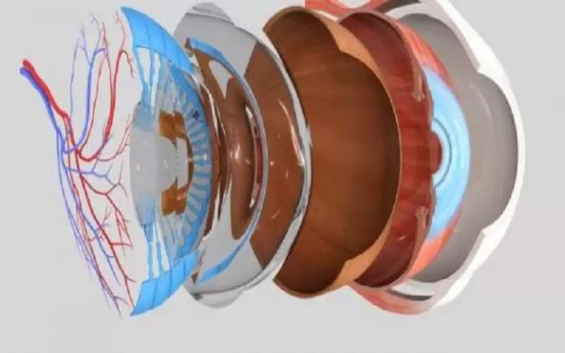 ما هو انفصال الشبكية؟