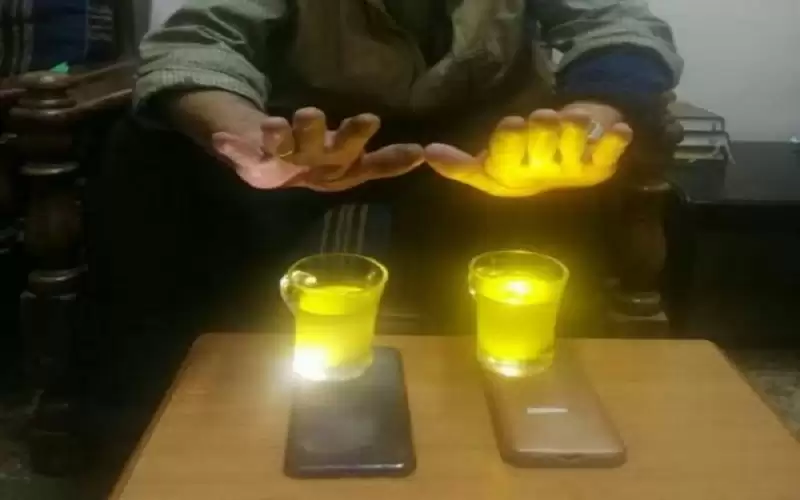 البحوث الزراعية يحذر: فحص زيت الزيتون