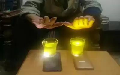 البحوث الزراعية يحذر: فحص زيت الزيتون