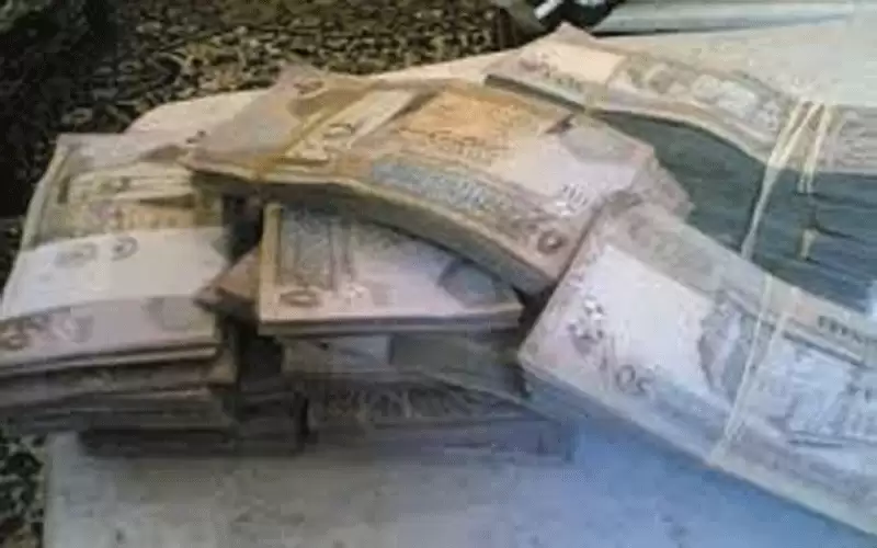 مكافآت تصل إلى 400% لأعضاء هيئة