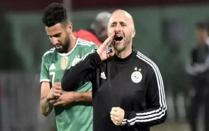 طفرة كبيرة.. جمال بلماضي يقدم تعهدا