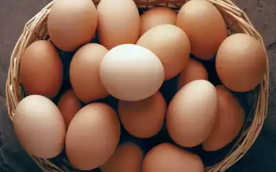 متاجر بريطانية كبرى تقنن بيع البيض