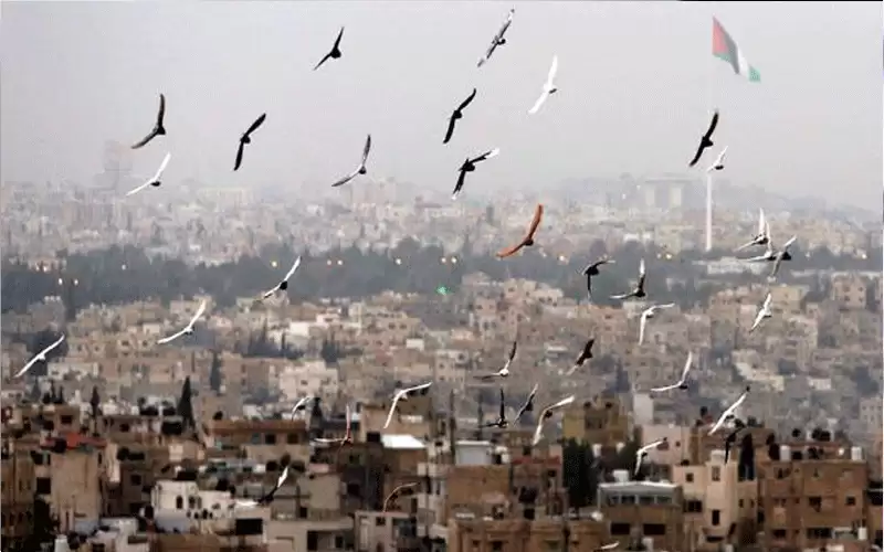 أجواء لطيفة حتى الثلاثاء