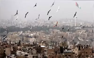 أجواء لطيفة حتى الثلاثاء
