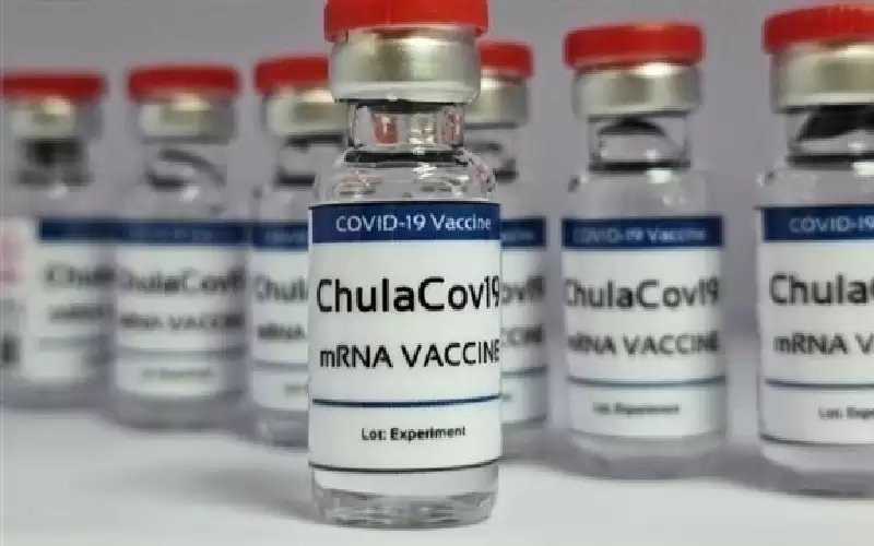 لقاح كورونا التايلاندي يحفظ مبردا 3