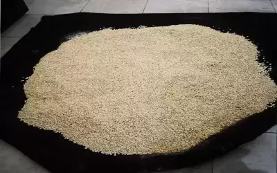 ضبط ربع مليون حبة مخدرة أخفيت