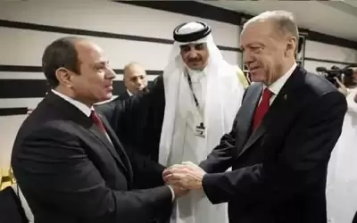 نائب مصري يعلق على لقاء السيسي