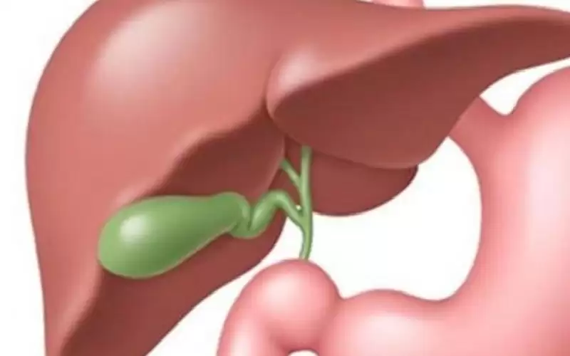 10 أعراض خفية لأمراض المرارة.. لا