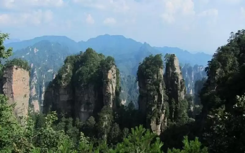 كيف تتحرك الحافلات عبر جرف ارتفاعه