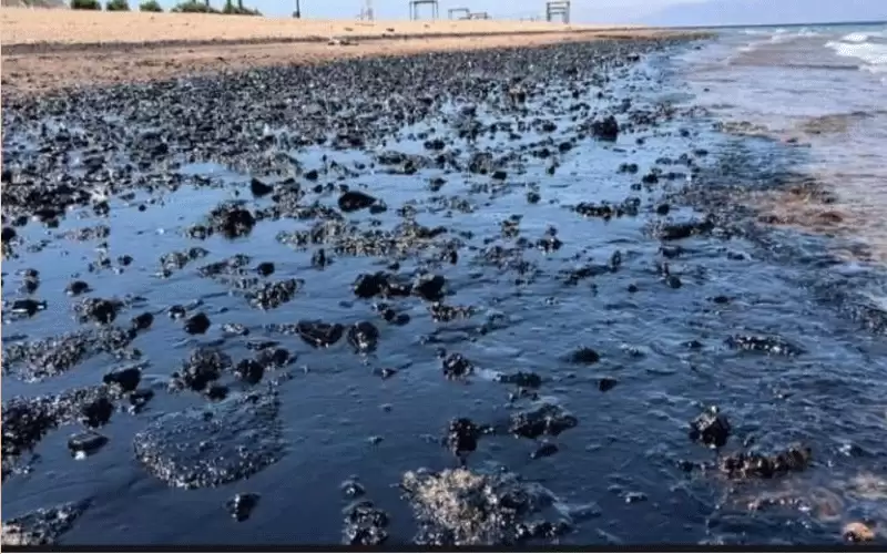 باخرة لوثت مياه العقبة بالنفط تدفع