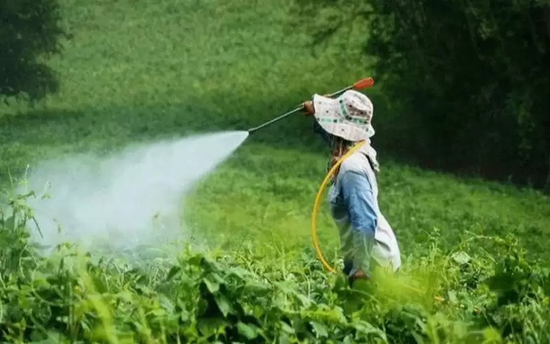 أمريكي يقدم بلاغا ضد طفلة بسبب