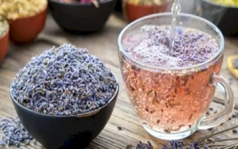 أعشاب لحرقة المعدة