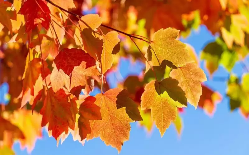 عطلة اسبوع ماطرة.. أما اليوم فالحرارة