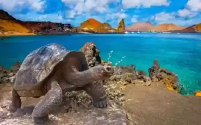 آثار تغير المناخ.. أكثر من 21٪
