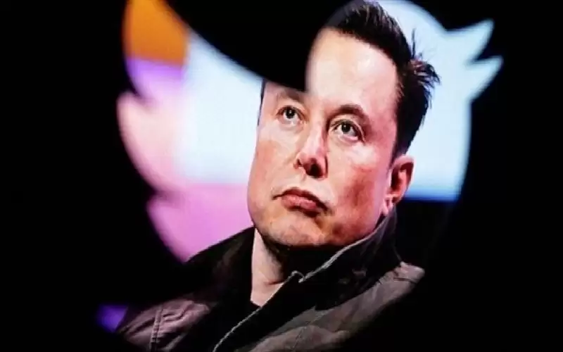 ماسك يطلق سراح الحسابات المجمدة على